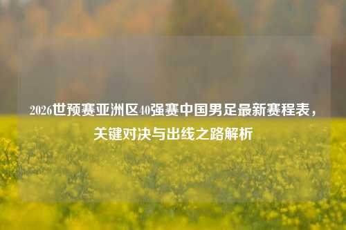 2026世预赛亚洲区40强赛中国男足最新赛程表,关键对决与出线之路解析
