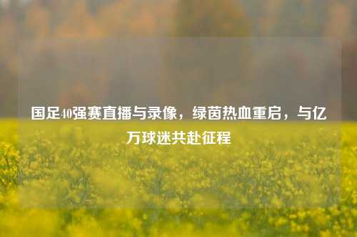 国足40强赛直播与录像,绿茵热血重启,与亿万球迷共赴征程