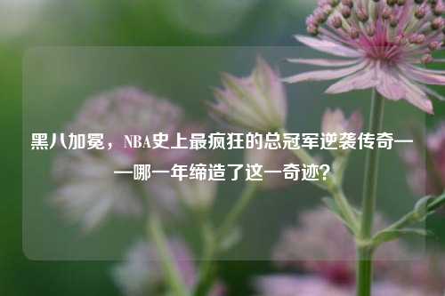 黑八加冕,NBA史上最疯狂的总冠军逆袭传奇——哪一年缔造了这一奇迹?