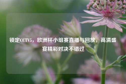 锁定CCTV5,欧洲杯小组赛直播与回放,高清盛宴精彩对决不错过