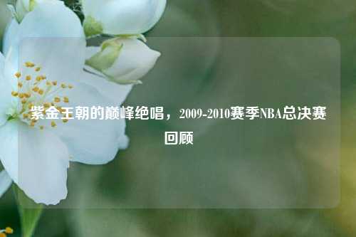 紫金王朝的巅峰绝唱,2009-2010赛季NBA总决赛回顾