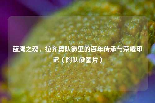 蓝鹰之魂,拉齐奥队徽里的百年传承与荣耀印记(附队徽图片)