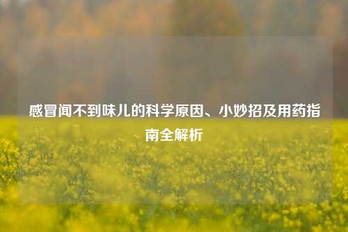 感冒闻不到味儿的科学原因、小妙招及用药指南全解析
