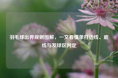 羽毛球出界规则图解,一文看懂单打边线、底线与发球区判定