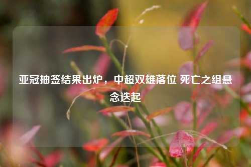 亚冠抽签结果出炉,中超双雄落位 死亡之组悬念迭起