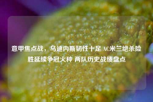 意甲焦点战,乌迪内斯韧性十足 AC米兰绝杀险胜延续争冠火种 两队历史战绩盘点