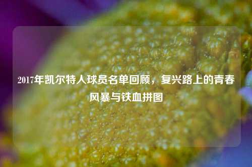 2017年凯尔特人球员名单回顾,复兴路上的青春风暴与铁血拼图