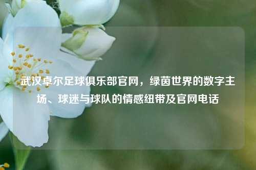 武汉卓尔足球俱乐部官网,绿茵世界的数字主场、球迷与球队的情感纽带及官网