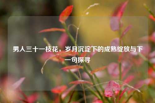 男人三十一枝花,岁月沉淀下的成熟绽放与下一句探寻