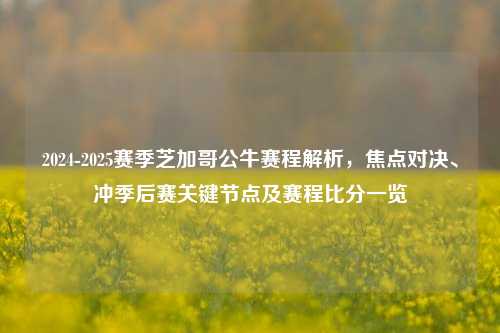 2024-2025赛季芝加哥公牛赛程解析,焦点对决、冲季后赛关键节点及赛程比分一览