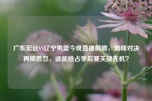 广东宏远VS辽宁男篮今晚直播前瞻,巅峰对决再续恩怨,谁能抢占季后赛关键先机?