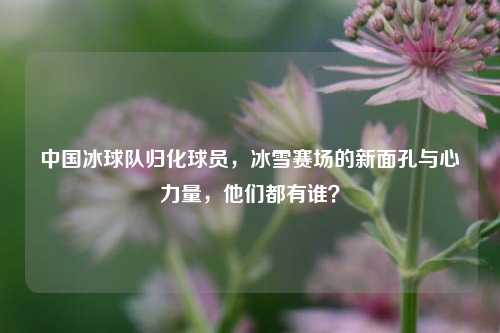 中国冰球队归化球员,冰雪赛场的新面孔与心力量,他们都有谁?