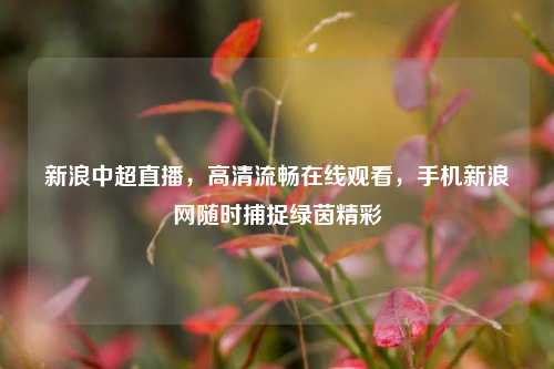 新浪中超直播,高清流畅在线观看,手机新浪网随时捕捉绿茵精彩