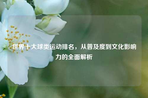 世界十大球类运动排名,从普及度到文化影响力的全面解析