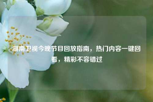 湖南卫视今晚节目回放指南,热门内容一键回看,精彩不容错过