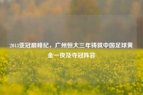 2013亚冠巅峰纪,广州恒大三年铸就中国足球黄金一夜及夺冠阵容