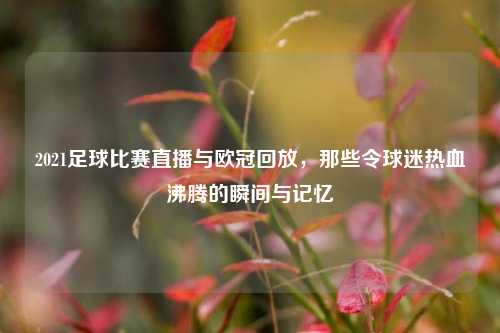 2021足球比赛直播与欧冠回放,那些令球迷热血沸腾的瞬间与记忆