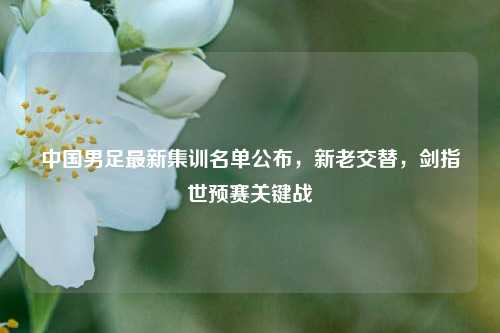 中国男足最新集训名单公布,新老交替,剑指世预赛关键战
