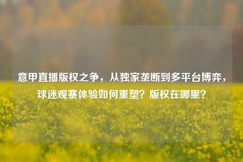 意甲直播版权之争,从独家垄断到多平台博弈,球迷观赛体验如何重塑?版权在哪里?