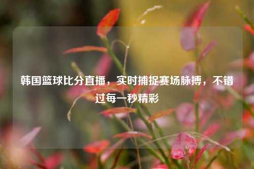 韩国篮球比分直播,实时捕捉赛场脉搏,不错过每一秒精彩
