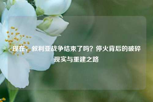 现在,叙利亚战争结束了吗?停火背后的破碎现实与重建之路