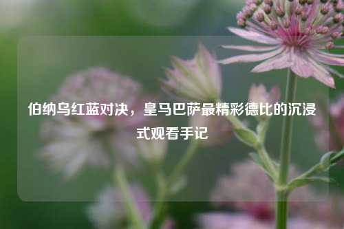 伯纳乌红蓝对决,皇马巴萨最精彩德比的沉浸式观看手记