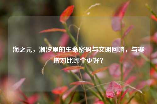 海之元,潮汐里的生命密码与文明回响,与赛增对比哪个更好?