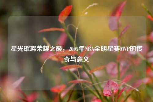 星光璀璨荣耀之巅,2005年NBA全明星赛MVP的传奇与意义