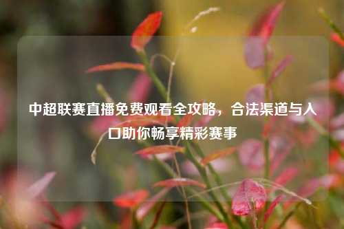 中超联赛直播免费观看全攻略,合法渠道与入口助你畅享精彩赛事