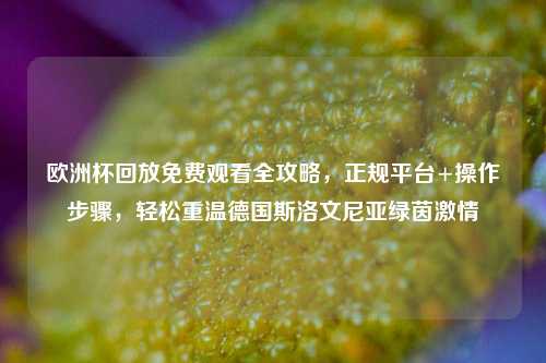 欧洲杯回放免费观看全攻略,正规平台+操作步骤,轻松重温德国斯洛文尼亚绿茵