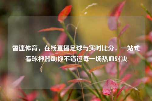 雷速体育,在线直播足球与实时比分,一站式看球神器助你不错过每一场热血对决