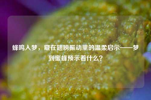 蜂鸣入梦,藏在翅膀振动里的温柔启示——梦到蜜蜂预示着什么?