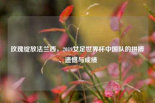 玫瑰绽放法兰西,2019女足世界杯中国队的拼搏、遗憾与成绩