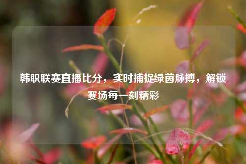 韩职联赛直播比分,实时捕捉绿茵脉搏,解锁赛场每一刻精彩