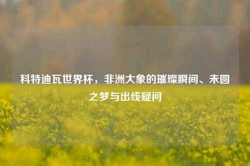 科特迪瓦世界杯,非洲大象的璀璨瞬间、未圆之梦与出线疑问