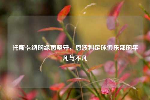 托斯卡纳的绿茵坚守,恩波利足球俱乐部的平凡与不凡