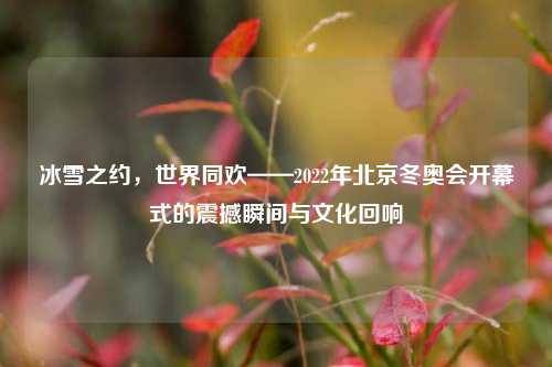 冰雪之约,世界同欢——2022年北京冬奥会开幕式的震撼瞬间与文化回响