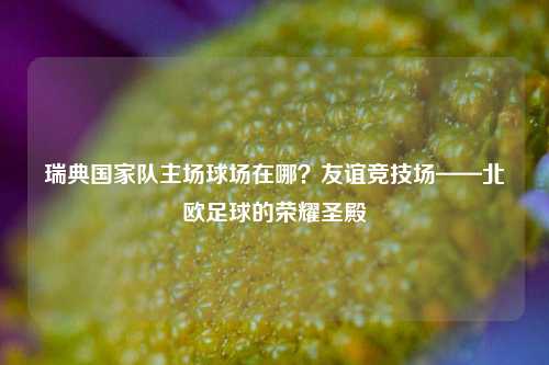 瑞典国家队主场球场在哪?友谊竞技场——北欧足球的荣耀圣殿