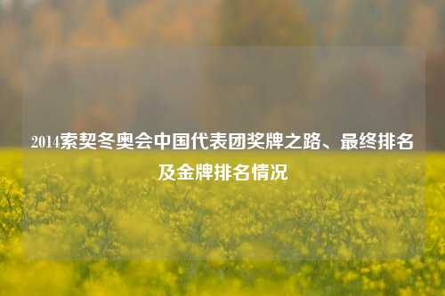 2014索契冬奥会中国代表团奖牌之路、最终排名及金牌排名情况