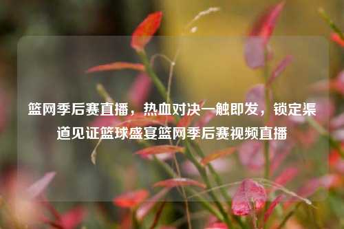 篮网季后赛直播,热血对决一触即发,锁定渠道见证篮球盛宴篮网季后赛视频直播