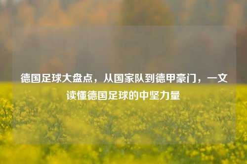 德国足球大盘点,从国家队到德甲豪门,一文读懂德国足球的中坚力量