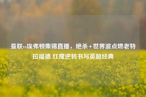 曼联vs埃弗顿集锦直播,绝杀+世界波点燃老特拉福德 红魔逆转书写英超经典