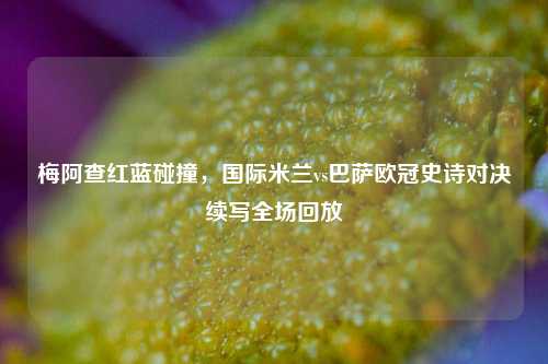 梅阿查红蓝碰撞,国际米兰vs巴萨欧冠史诗对决续写全场回放