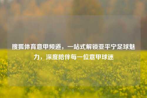 搜狐体育意甲频道,一站式解锁亚平宁足球魅力,深度陪伴每一位意甲球迷
