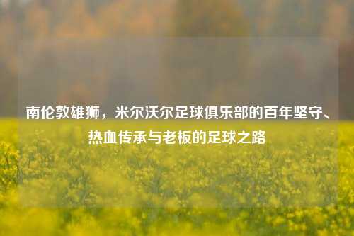南伦敦雄狮,米尔沃尔足球俱乐部的百年坚守、热血传承与老板的足球之路