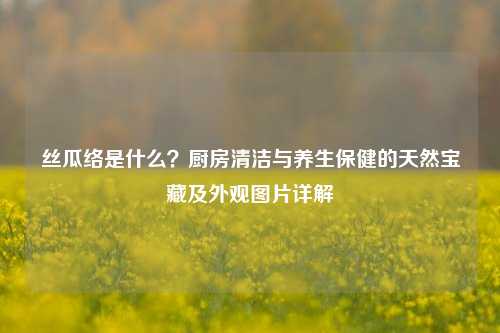 丝瓜络是什么?厨房清洁与养生保健的天然宝藏及外观图片详解