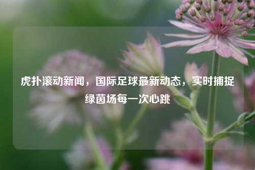 虎扑滚动新闻,国际足球最新动态,实时捕捉绿茵场每一次心跳
