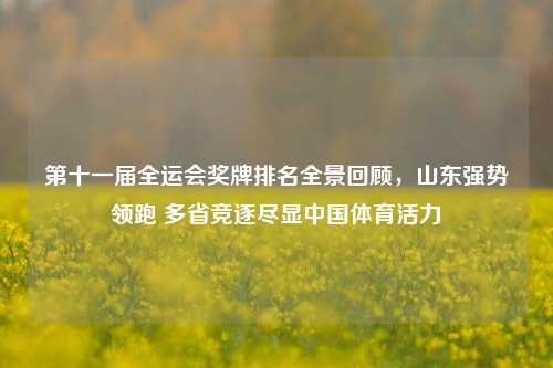 第十一届全运会奖牌排名全景回顾,山东强势领跑 多省竞逐尽显中国体育活力