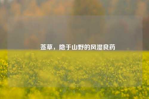 豨莶草,隐于山野的风湿良药