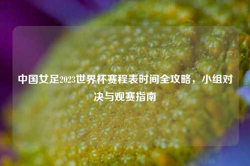 中国女足2023世界杯赛程表时间全攻略,小组对决与观赛指南